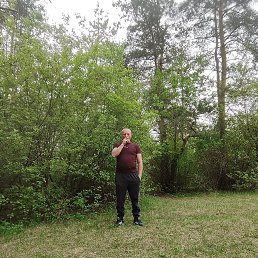 ���������, 45 ���, ������