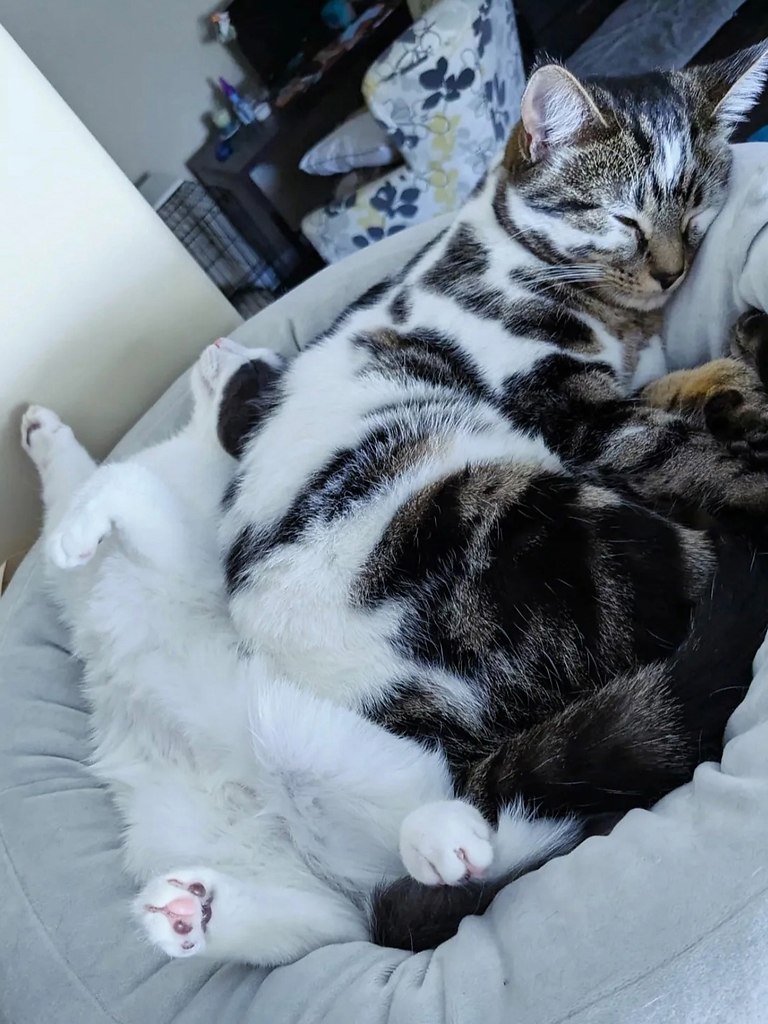   - 3