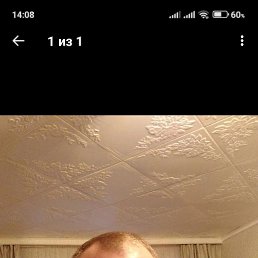 , 53, 