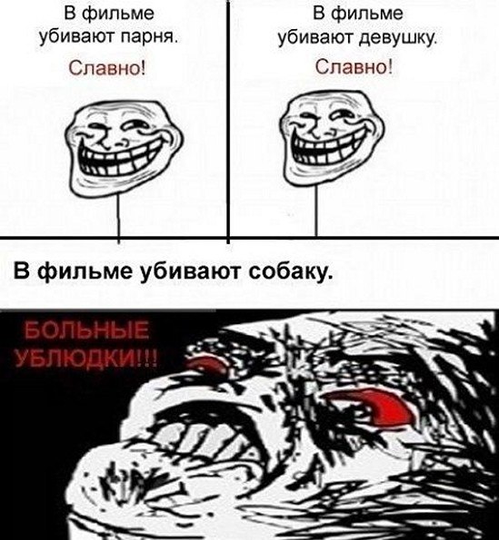 ☆   ☆ - 28  2025  20:36