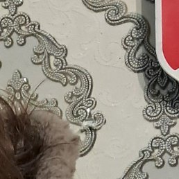 ������, ������, 46 ���