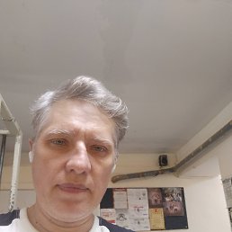 , 51 , 