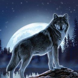 �����, ��������, 40 ���