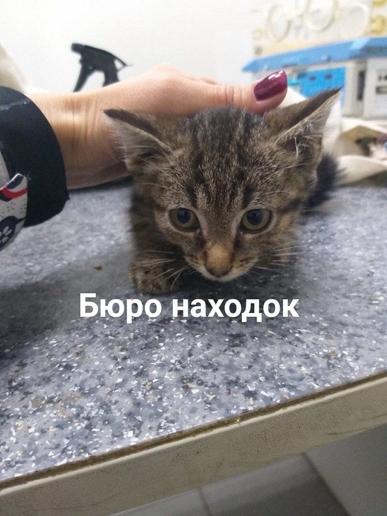   ,     !