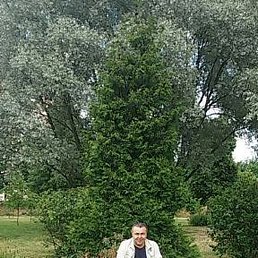 �������, �����, 58 ���