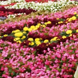 �, ������, 49 ���