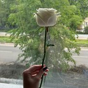 �����, 29 ���, ������