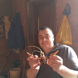 �������� ��������, 41 ���, ������