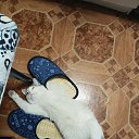 ���� �����, ������ - ��������� 25 ��� 2025 � ������ ���� ����������