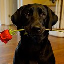 ���� �����, ����, 49 ��� - ��������� 5 �������� 2024 � ������ ������ ��������