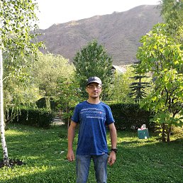 , 37, 