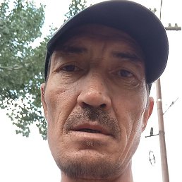 �����, ������, 44 ����