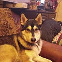  , --, 58  -  22  2024    