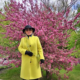 ���� ���������, �����, 37 ��� - ��������� 9 ������ 2026