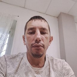 ����, 40 ���, ����