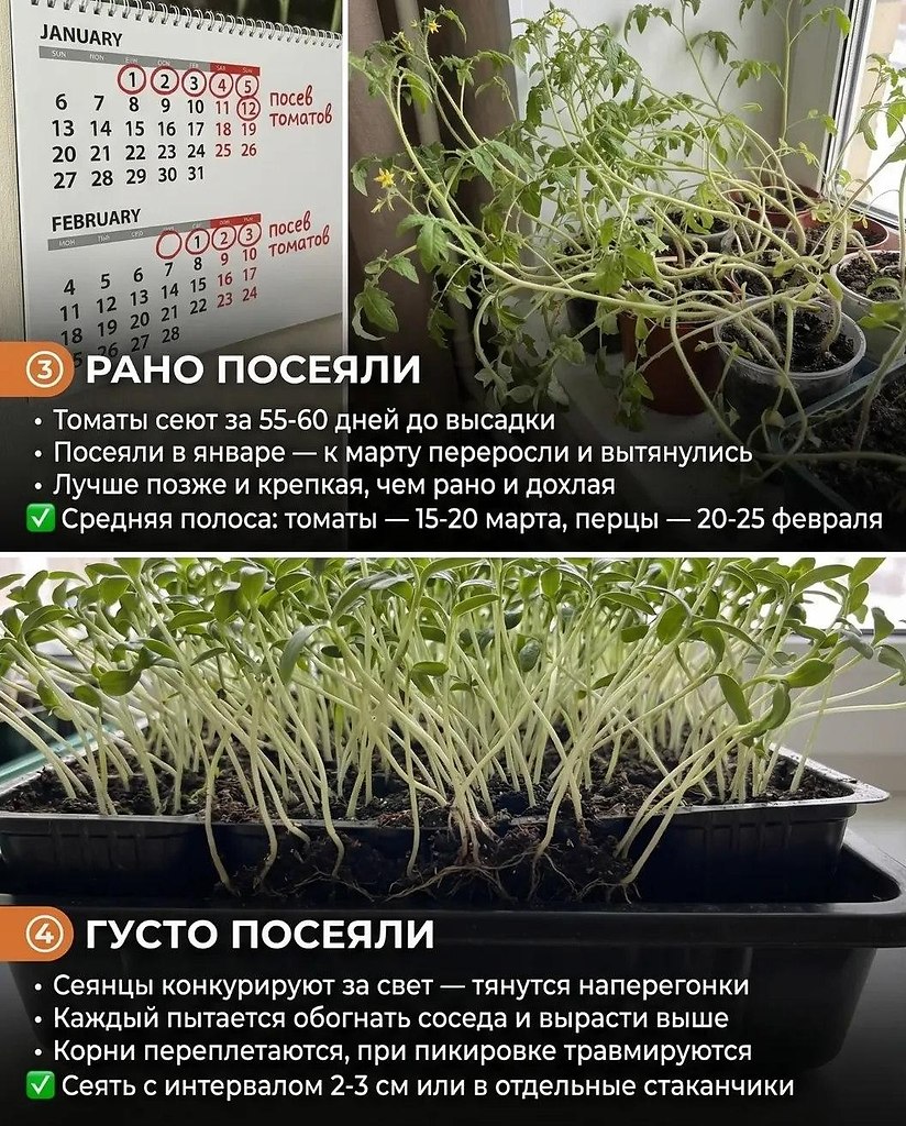 �����������������?�5����������������.�Ӡ���x������������x������������������?�������y���������x����:���������ࠠ��������10-11������,��y���14-16��������������LD��������������������y����������頠�������������������28�C�����������������x����������y��y���18-20�C���,�14 - 4