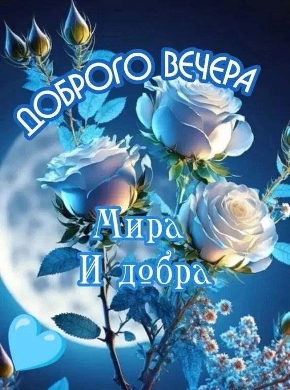   - 11  2025  21:22