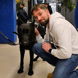 �������, �������, 34 ����