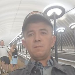 ��������, ������, 42 ����