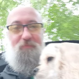 ���� �����������, ������, 48 ���