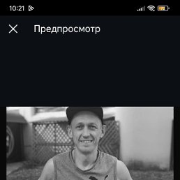 , 41, 