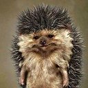 ���� ������, �����, 32 ���� - ��������� 7 ������ 2025 � ������ ���� ����������