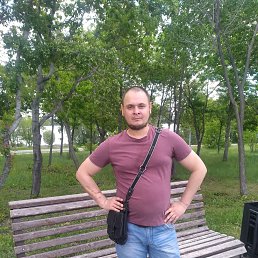 , 37, 
