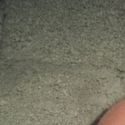 ������, 40 ���, ������