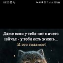  , , 20  -  19  2024    