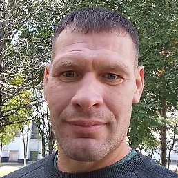 ������, ������ ��������, 46 ���