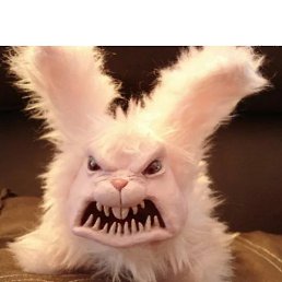 ���� ��������, �����������