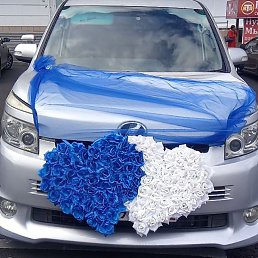 ���� ����������, ��������, 41 ��� - ��������� 1 ���� 2025