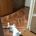 ���� �������, ������, 46 ��� - ��������� 16 ����� 2025 � ������ ���� ����������