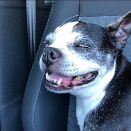 ���� �����������, ������, 39 ��� - ��������� 24 ������� 2026