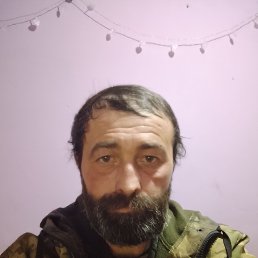 ������� ����, 43 ����, ���������