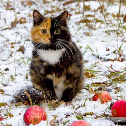 ���� ����, �������� - ��������� 27 ��� 2024