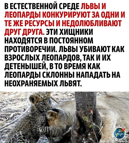 ����� �e�e� �e ���ae�: �����a �c��o���a �e�e���a �eo�ap�a - 3