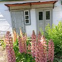 ���� ������, ��������������, 53 ���� - ��������� 30 ���� 2025 � ������ �����