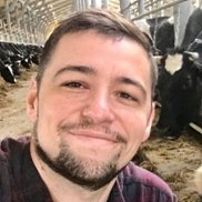 �����, 32 ����, �����������