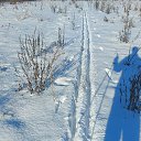 ���� ��������, �����-���������, 64 ���� - ��������� 24 ������� 2025 � ������ ���� ����������