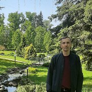 , 41 , 