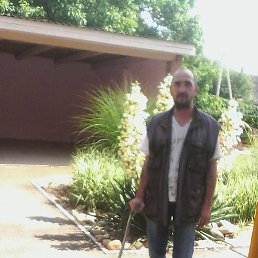 �����, ���������, 55 ���