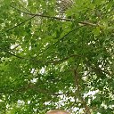 ���� *~Seryoga~*, �������� - ��������� 21 ������ 2024 � ������ ���� ����������