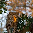 ���� Bakchiv.cepra, ����, 49 ��� - ��������� 4 ������� 2025 � ������ ���� ����������