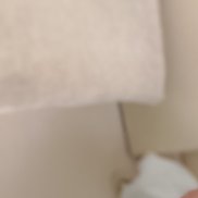 �����, 33 ����, �����������