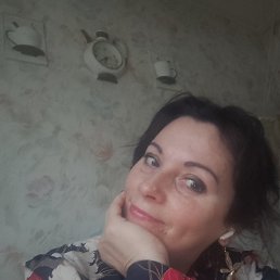 ���� �����, ������, 50 ��� - ��������� 1 ������ 2026