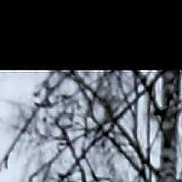 Ը���, 40 ���, ������