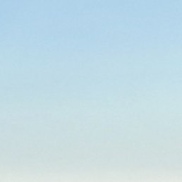 ������, �������, 50 ���