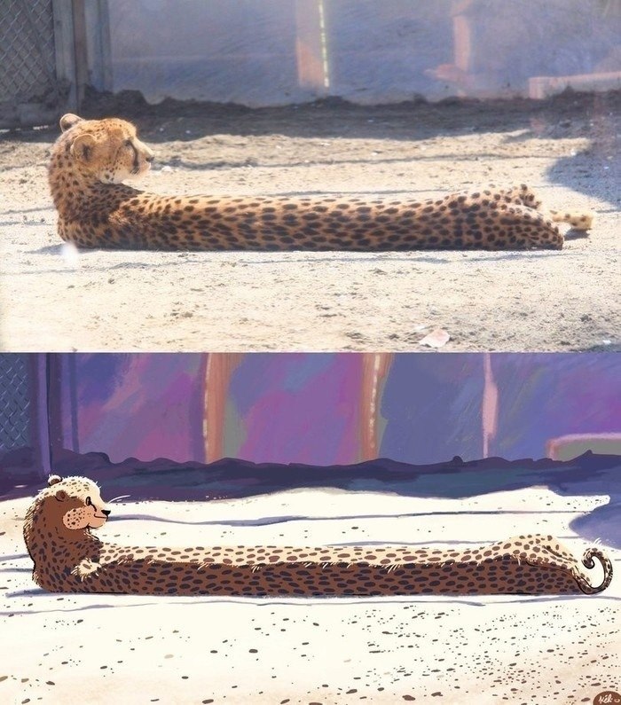 ,    ?