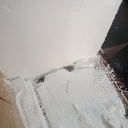 ���� ������, ������, 44 ���� - ��������� 16 ������ 2024